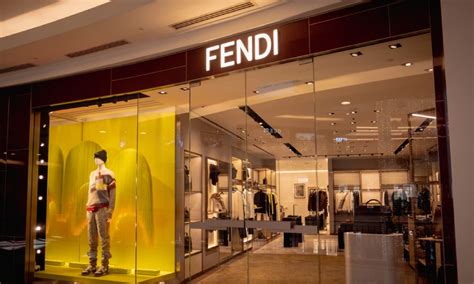 fendi made|who is fendi owned by.